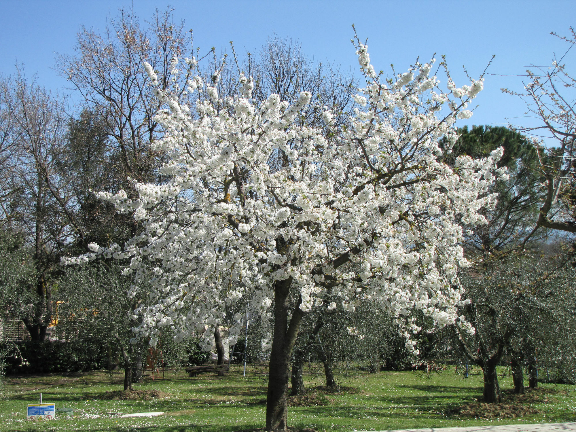 Poggio Delle Rose Tuscany Relais Chianciano Terme Exterior foto